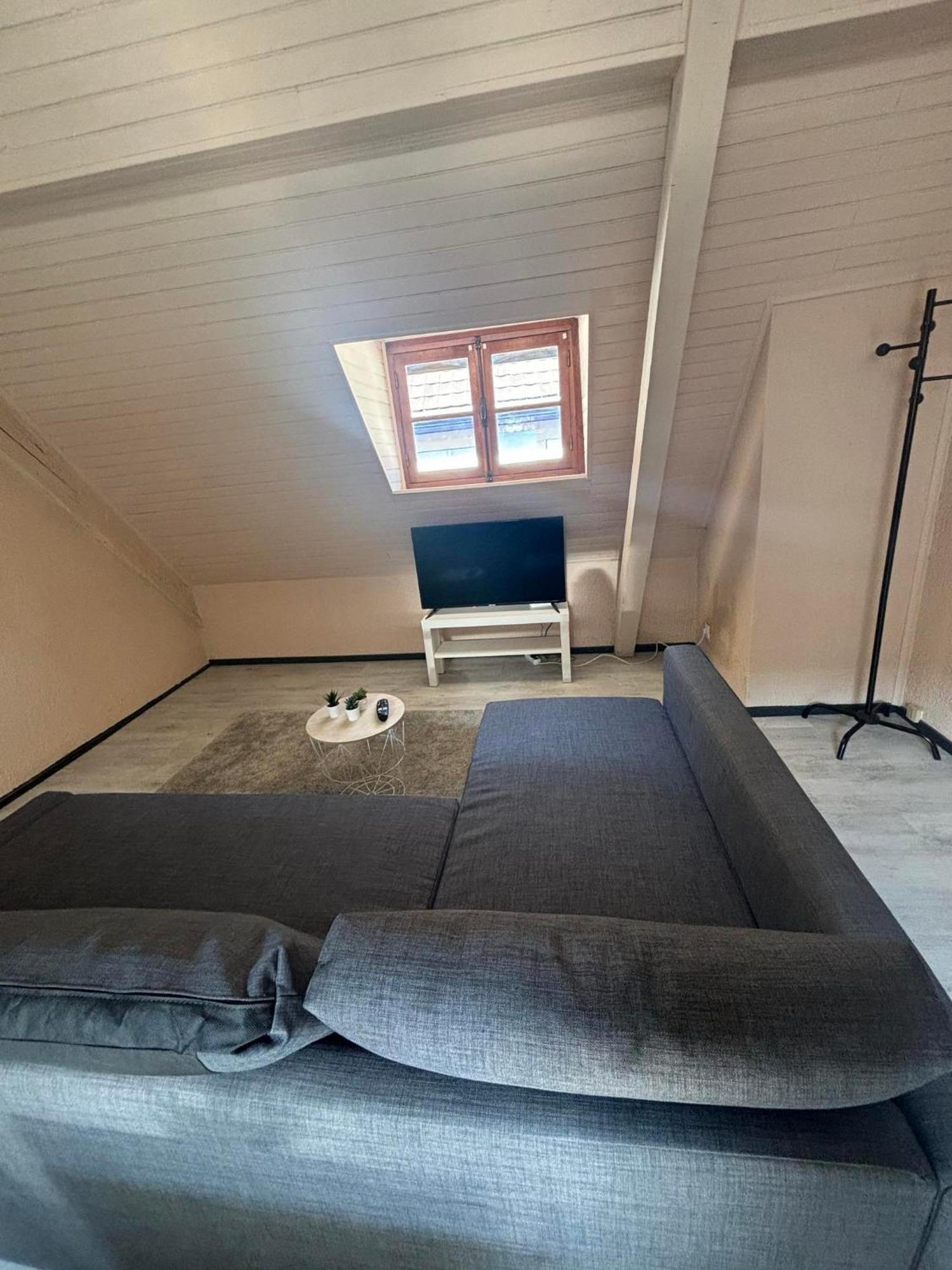 Apartmán Le Merveilleux Soultz-Haut-Rhin Exteriér fotografie